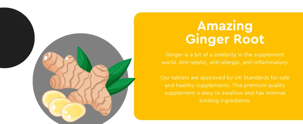 Ginger 1000mg 120 Tablets | Ginger Root Extract | Digestion Travel Sickness & Joint Support | Letterbox Friendly | Vegan UK Made | GMP Approved | MOBU - product information 14