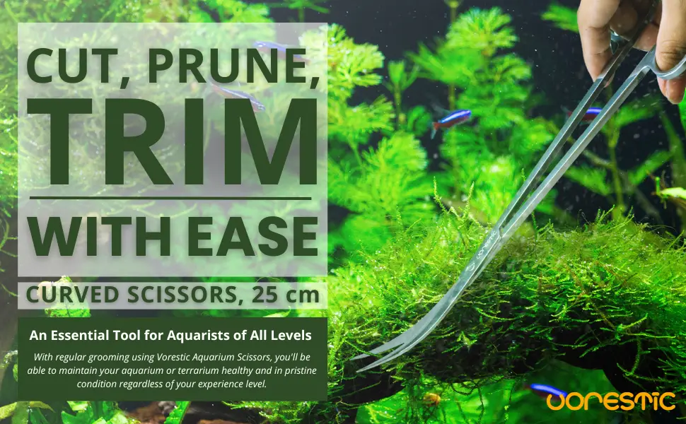 VORESTIC Aquarium Scissors Curved 25cm Aquascaping Tools for Terrarium Plants Curved Scissors - starter fish tank, trimming scissors, aquarium tools, fish aquarium, terrarium accessories