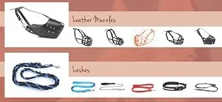 No More Pulling! Anti Pull Lead Field Figure 8 / Halter/Head Collar One Size Fits All Super Soft Braided Nylon Comfortable Make Your Walks More Enjoyable -Instructions Included. (Green-Black) - little luxury with our unique hand crafted products