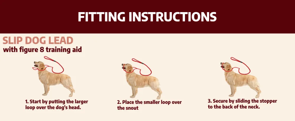All in one Headcollar Lead/Halter/Head Collar To Anti Stop Pull Fits All Dog (Red) - Fitting instructions