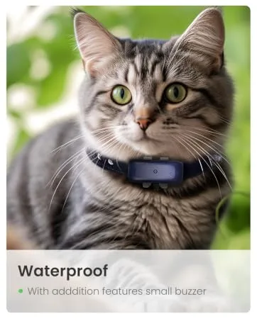 SEEWORLD P1 GPS Cat Dog Tracker 4G Pet tracker for Dogs Cats Waterproof Pet Tracking Device (6.5lbs+) Smart Dog Activity Tracker Real Time Tracking Cat Tracker Unlimited Range Blue - dog tracker