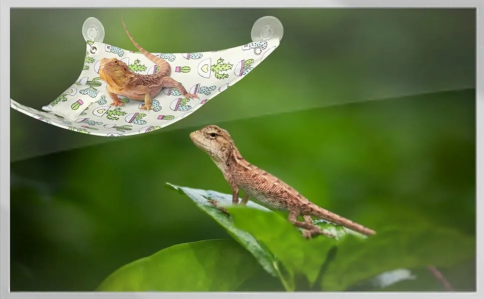 Tocwick 2Pcs Bearded Dragon Hammock and Pillow Leopard Gecko Swing Hanging Bed Lounger Ladder for Chameleons Hamster Small Animals Green - beaded dragon hammock