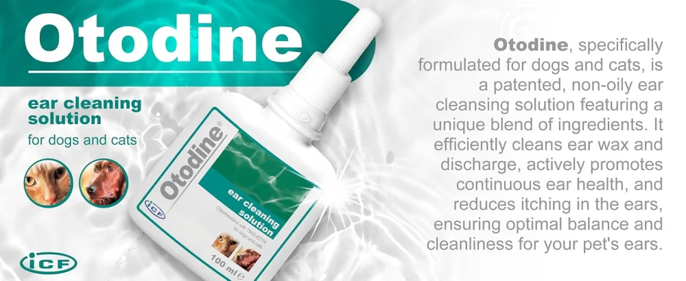 ICF Otodine | Cat & Dog Ear Cleaner Solution | Dog Ear Drops to Stop Wax Build Up Head Shaking Discomfort Ear Odour & Scratching | 100ml - dog ear cleaner solution drops pet puppy cat itchy wipes drop wax otodine cleaning remover itching