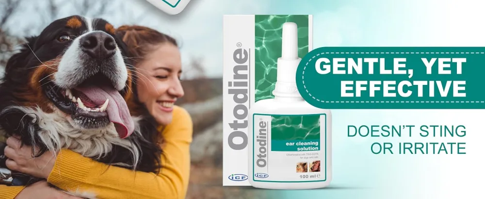 ICF Otodine | Cat & Dog Ear Cleaner Solution | Dog Ear Drops to Stop Wax Build Up Head Shaking Discomfort Ear Odour & Scratching | 100ml - dog ear cleaner solution drops pet puppy cat itchy wipes drop wax otodine cleaning remover itching