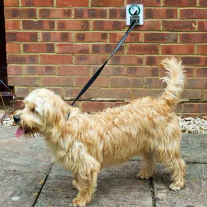 MDC Dog Parking Hook safely secure your dog to leave your hands free suitable on most surfaces easy to fit - dog parking hook, dog tether, lead tether, dog facility