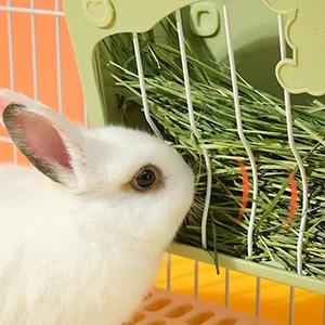 Rabbit Hay Feeder Hanging Feeding Hay Rack for Small Animals Rabbit Dwarf Rabbit Guinea Pig (Green) - hay feeder