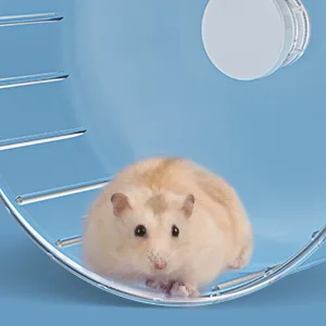 BUCATSTATE-Hamster Wheel-Jelly Style (17cm Transparent) - product information 22