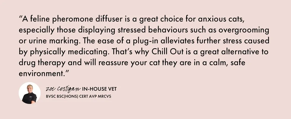 Itch | Chill Out Starter Kit | Calming Pheromones Plug in Diffuser and 30-Day Refill | Anxiety and Stress Relief for Cats - Chill Out Calming