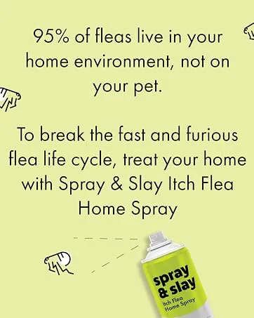 Itch | Chill Out Starter Kit | Calming Pheromones Plug in Diffuser and 30-Day Refill | Anxiety and Stress Relief for Cats - Itch Flea Treatment
