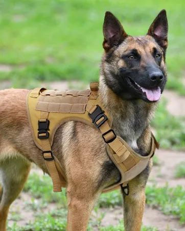 Plutus Pet No Pull Dog Harness Release At Neck Reflective Adjustable Dog Vest Harness Easy Control Handle for Walking for Small Medium Large Dogs Cyan M Medium Cyan - tactical dog harness