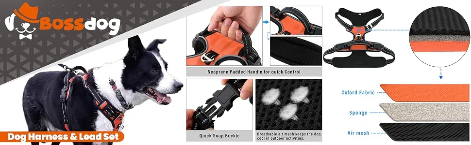 Bossdog No Pull Dog Harness and Lead Set | Anti Pull Dog Harness No Pull For Small Medium Large and Puppy Dogs | Features Sturdy Top Handle and Reflective Strips (Large Black) Large Black - Dog No Pull Harness For Dogs Large Medium Small