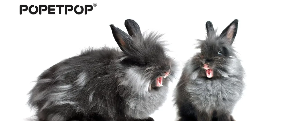 POPETPOP Metal Rabbit Hay Feeder Iron Hay Feeder Convenient Bunny Feeder Rabbit Cage Accessory - POPETPOP – Love pets