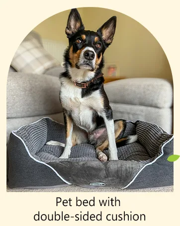 pecute Hands Free Double Dog Running Lead with Wide Back Support Belt Adjustable Dog Walking Belt with Multi Pouches (Large -2 Leash Grey) Grey(M 2 Leash) - cat bed