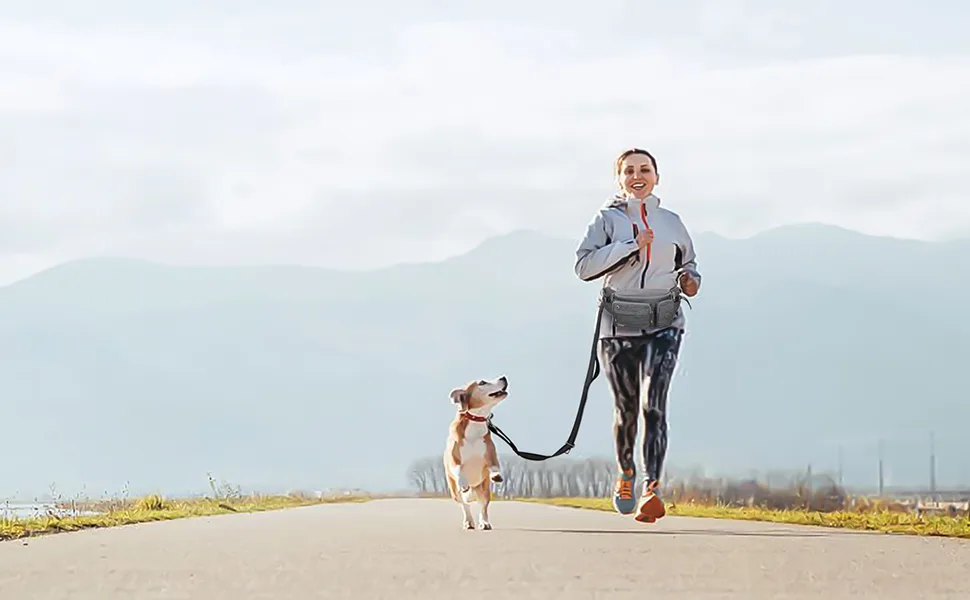 TUDEQU 4-IN-1 Hands Free Dog Zero Shock Absorbing Bungee Leash with a Multifunctional Waist Bag DARK GREY one size - product information 20