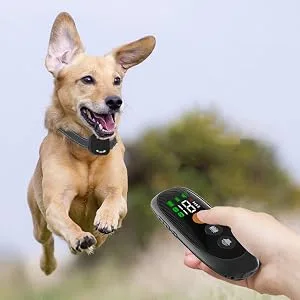 Dog Training Collar with 2000M Remote Range Rechargeable 4 Training Modes LED Light/Sound/Vibration/Strong Vibration IP67 Waterproof - product information 14