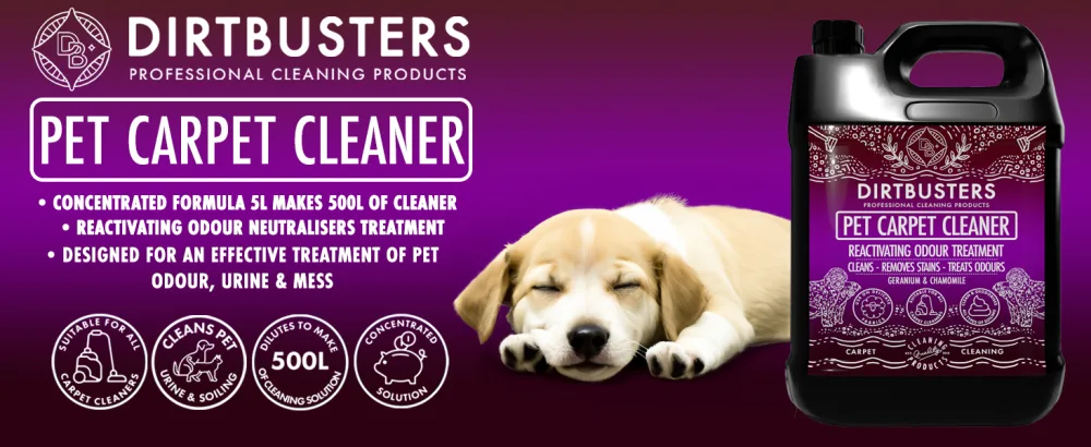 Dirtbusters Pet Carpet Cleaner Shampoo Cleaning Solution For Odour Urine & Stains Geranium & Chamomile (5L) 1 - carpet cleaner shampoo