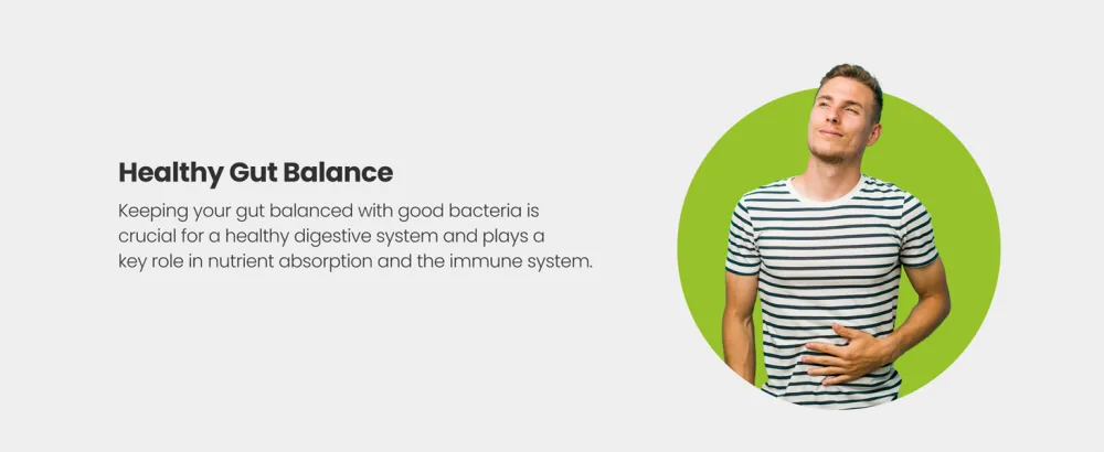 Bio Cultures Complex Pre and Probiotics - 45 Billion CFU Vegan Capsules - 17 Live Bacteria Strains High Strength Advanced Probiotic Supplement - Made in UK by VitaBright - Healthy gut balance