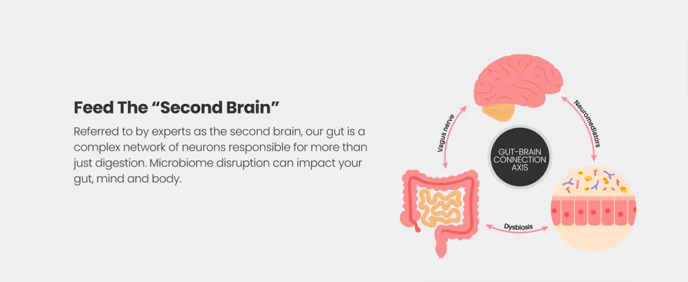 Bio Cultures Complex Pre and Probiotics - 45 Billion CFU Vegan Capsules - 17 Live Bacteria Strains High Strength Advanced Probiotic Supplement - Made in UK by VitaBright - Second Brain The Gut-Brain Axis