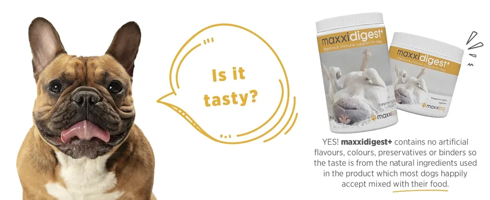maxxidog - maxxidigest+ probiotics prebiotics & digestion enzymes formula for dogs - Advanced canine digestive and immune system support - Non GMO powder - Two sizes 200 & 375 g (200 g) - MAXXIPAWS