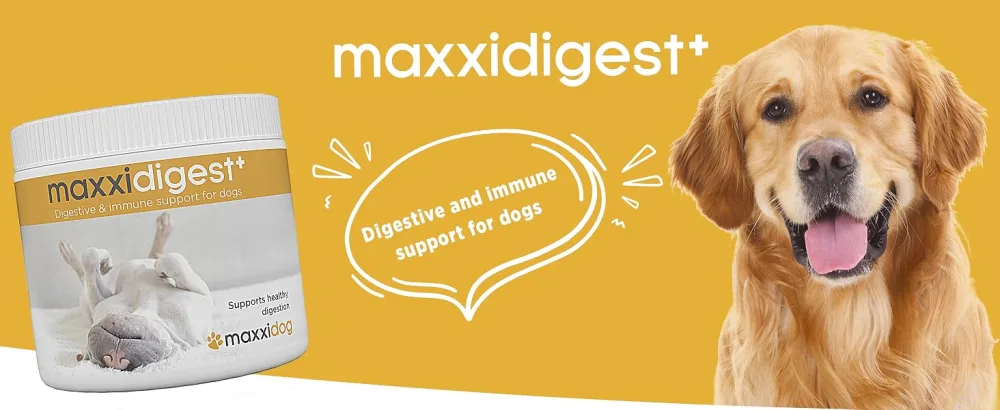 maxxidog - maxxidigest+ probiotics prebiotics & digestion enzymes formula for dogs - Advanced canine digestive and immune system support - Non GMO powder - Two sizes 200 & 375 g (200 g) - MAXXIPAWS