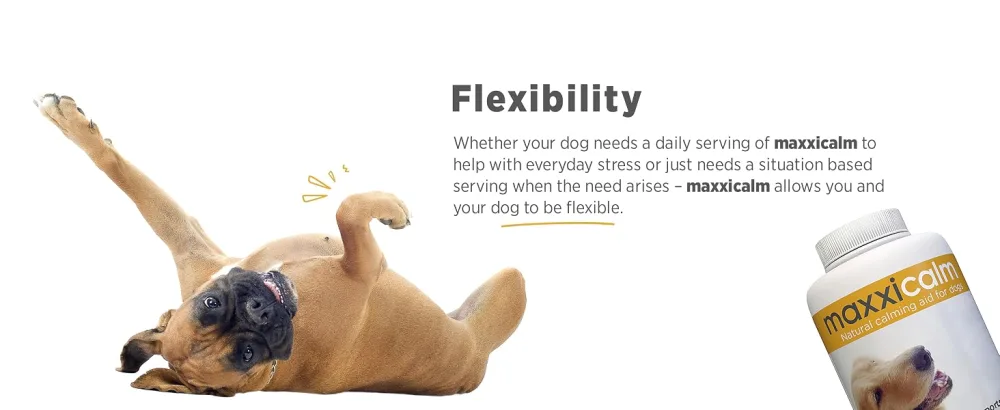 maxxipaws maxxicalm Natural Calming Supplement for Dogs - 120 Non-Drowsy Tablets - MAXXICALM