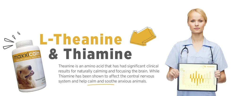 maxxipaws maxxicalm Natural Calming Supplement for Dogs - 120 Non-Drowsy Tablets - MAXXICALM