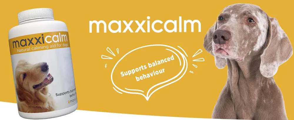 maxxipaws maxxicalm Natural Calming Supplement for Dogs - 120 Non-Drowsy Tablets - MAXXICALM+