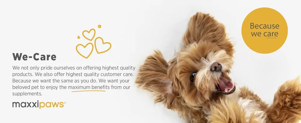 maxxipaws maxxicalm Natural Calming Supplement for Dogs - 120 Non-Drowsy Tablets - MAXXICALM