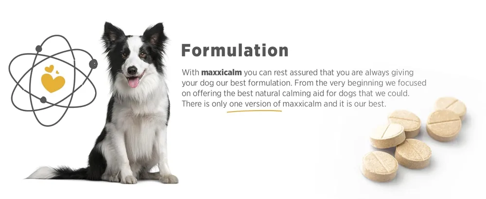 maxxipaws maxxicalm Natural Calming Supplement for Dogs - 120 Non-Drowsy Tablets - MAXXICALM
