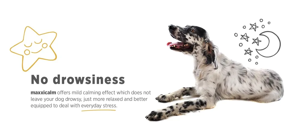 maxxipaws maxxicalm Natural Calming Supplement for Dogs - 120 Non-Drowsy Tablets - MAXXICALM