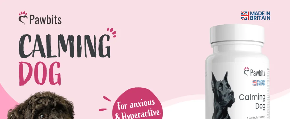 Pawbits 60 Calming Tablets Supplement for Anxious & Hyperactive Dogs Calms Relaxes & Non-Sedative Dog Calming Tablets Fireworks Behavioural Issues Travel & Vet Visits Natural Calm Aid (60 Tablets) - Pawbits Calming Dog non-sedative 60 tablets for anxious and hyperactive Dogs