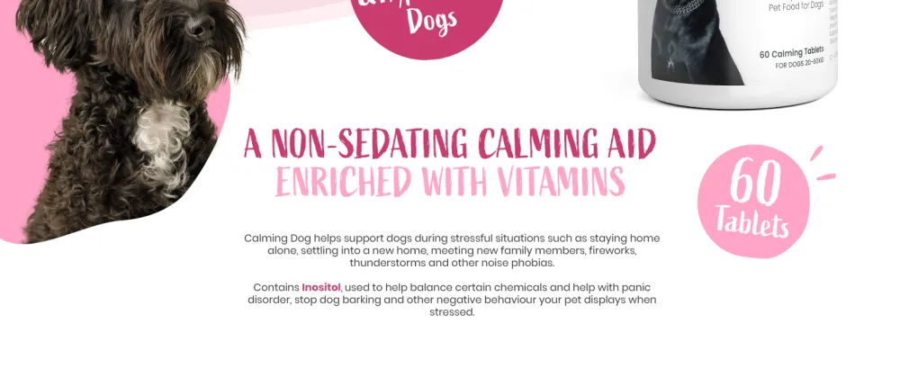 Pawbits 60 Calming Tablets Supplement for Anxious & Hyperactive Dogs Calms Relaxes & Non-Sedative Dog Calming Tablets Fireworks Behavioural Issues Travel & Vet Visits Natural Calm Aid (60 Tablets) - Pawbits Calming Dog non-sedative 60 tablets for anxious and hyperactive Dogs