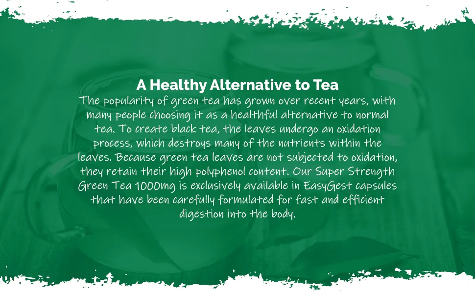 Green Tea Extract 1000mg - 2X 180 360 Capsules - S5153