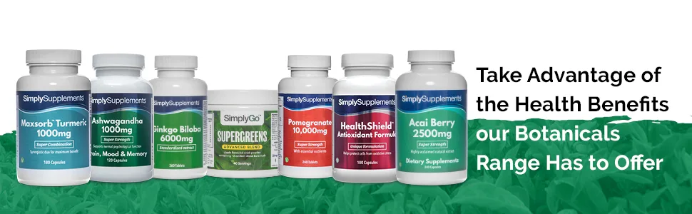 Green Tea Extract 1000mg - 2X 180 360 Capsules - S5154