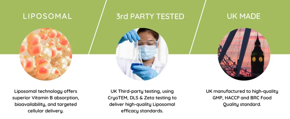 WELL ACTUALLY Liposomal Vitamin B Complex High Strength and Bioavailability - 8 Essential B Vitamins Complex for Energy Brain Metabolism Support - Tropical Flavour (60 Servings) - Liposomal, 3rd party tested, UK made