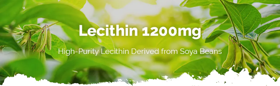 Soy Lecithin Capsules 1200mg | 120+120 (240) Capsules | Manufactured in The UK - S9031