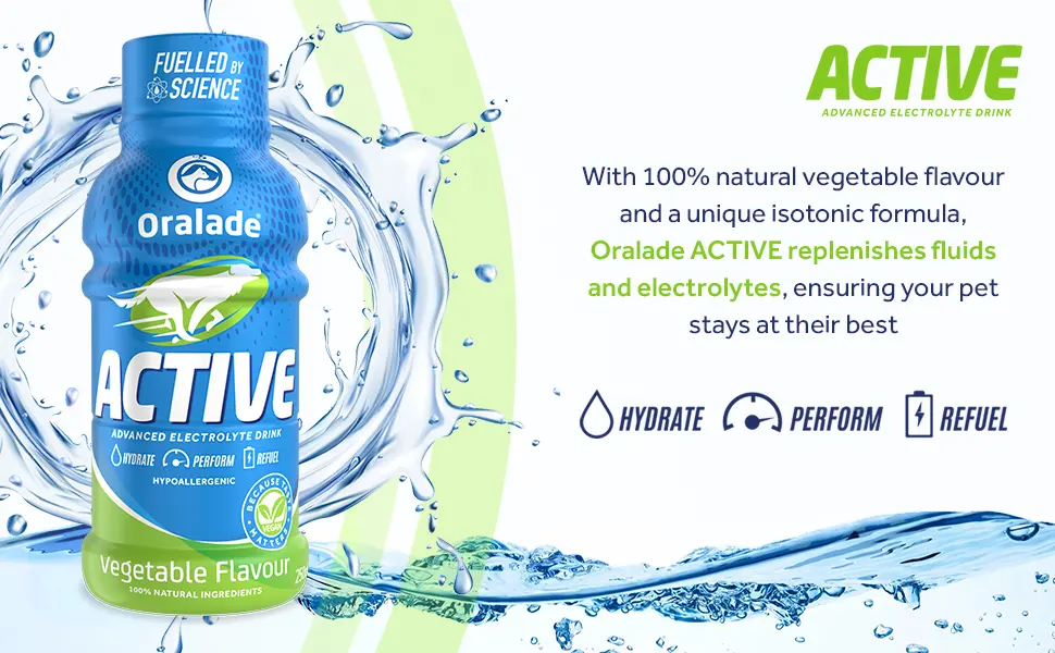 Oralade - Active for Pets 100% Vegetable Flavour - Advanced Electrolyte Drink - Glycine and L-carnitine for Muscle Strength and Recovery - Quick Absorbing Isotonic Formula - 250ml - electrolyte drink food topper active vegetable flavour pet hydration dog pets health healthy