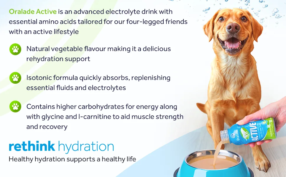 Oralade - Active for Pets 100% Vegetable Flavour - Advanced Electrolyte Drink - Glycine and L-carnitine for Muscle Strength and Recovery - Quick Absorbing Isotonic Formula - 250ml - electrolyte drink food topper active vegetable flavour pet hydration dog pets health healthy