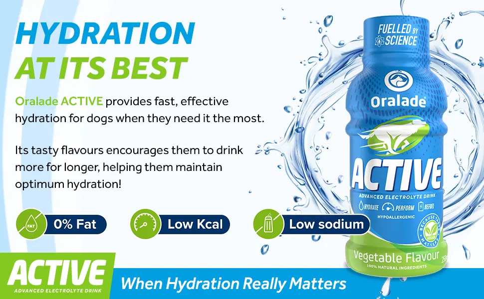 Oralade - Active for Pets 100% Vegetable Flavour - Advanced Electrolyte Drink - Glycine and L-carnitine for Muscle Strength and Recovery - Quick Absorbing Isotonic Formula - 250ml - electrolyte drink food topper active vegetable flavour pet hydration dog pets health healthy