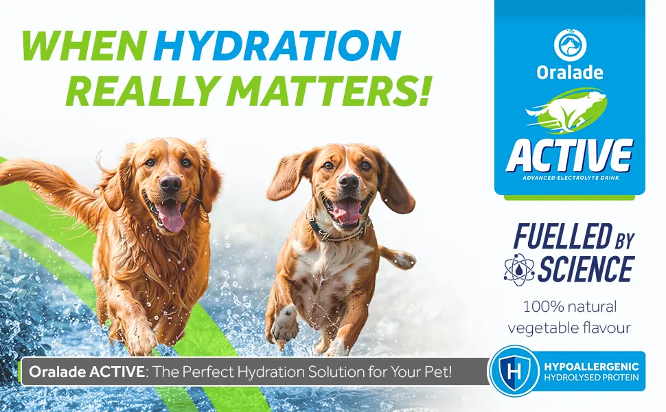 Oralade - Active for Pets 100% Vegetable Flavour - Advanced Electrolyte Drink - Glycine and L-carnitine for Muscle Strength and Recovery - Quick Absorbing Isotonic Formula - 250ml - electrolyte drink food topper active vegetable flavour pet hydration dog pets health healthy