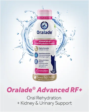 Oralade - Active for Pets 100% Vegetable Flavour - Advanced Electrolyte Drink - Glycine and L-carnitine for Muscle Strength and Recovery - Quick Absorbing Isotonic Formula - 250ml - oralade RF cat hydration feline kidney support pet health healthy pets nutrition food toppers