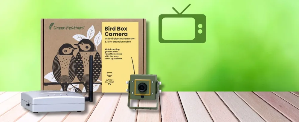 Green Feathers Bird Box Camera With Wireless Transmission Wireless Receiver Watch on your TV (Updated Model) 12V Camera - Updated Model - wireless transmission tv bird box camera