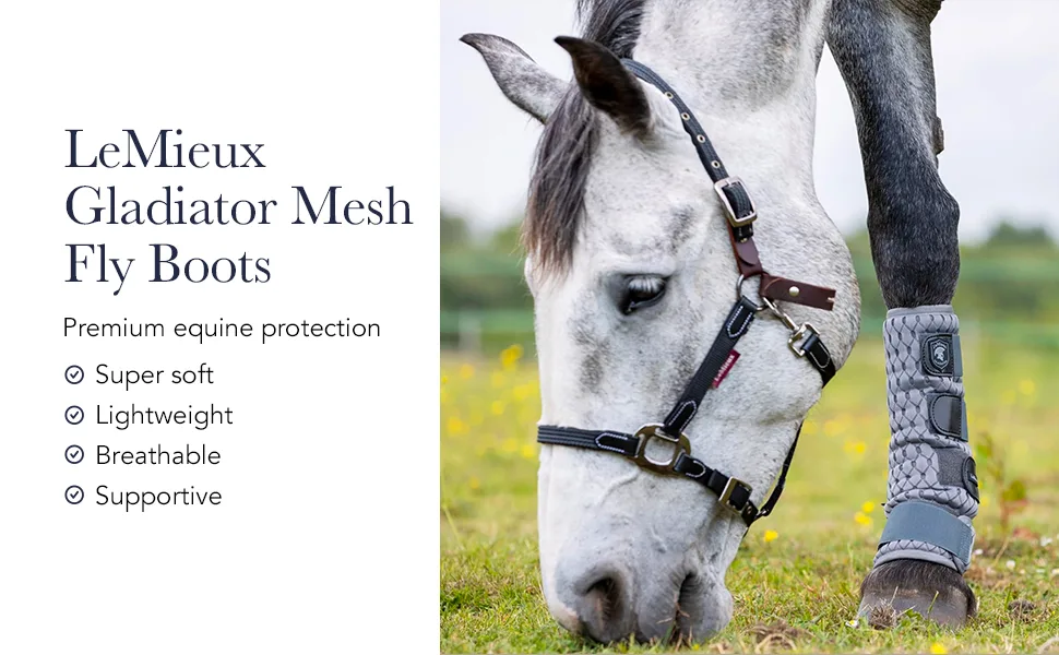 LeMieux Gladiator Mesh Horse Fly Boots - Protective Gear and Training Equipment - Equine Boots Wraps & Accessories for Healthy Horses (Grey/X-Small) X-Small Grey Gladiator Mesh - brushing jumps professional choice sport jumping tendon sports medicine shipping back track