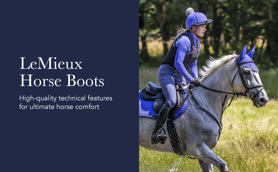 LeMieux Gladiator Mesh Horse Fly Boots - Protective Gear and Training Equipment - Equine Boots Wraps & Accessories for Healthy Horses (Grey/X-Small) X-Small Grey Gladiator Mesh - brushing jumps professional choice sport jumping tendon sports medicine shipping back track