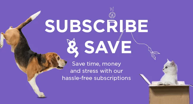 Healthspan Flexi-Joints For Dogs | High Strength Glucosamine & Chondroitin | With Vitamins C & E | Formulated to Support Joint Mobility | Beef Flavoured (240 Tablets) - Subscribe and Save
