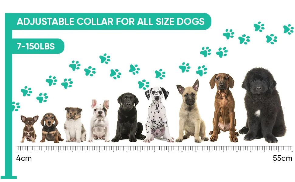Anti Bark Collar for Dogs - Dog Training Collar - Anti Bark Device for Small Medium & Large Dogs - No Shock & False Trigger - 8 Vibration & 7 Sensitivity Levels - Rechargeable & Waterproof - Anti Bark Collar