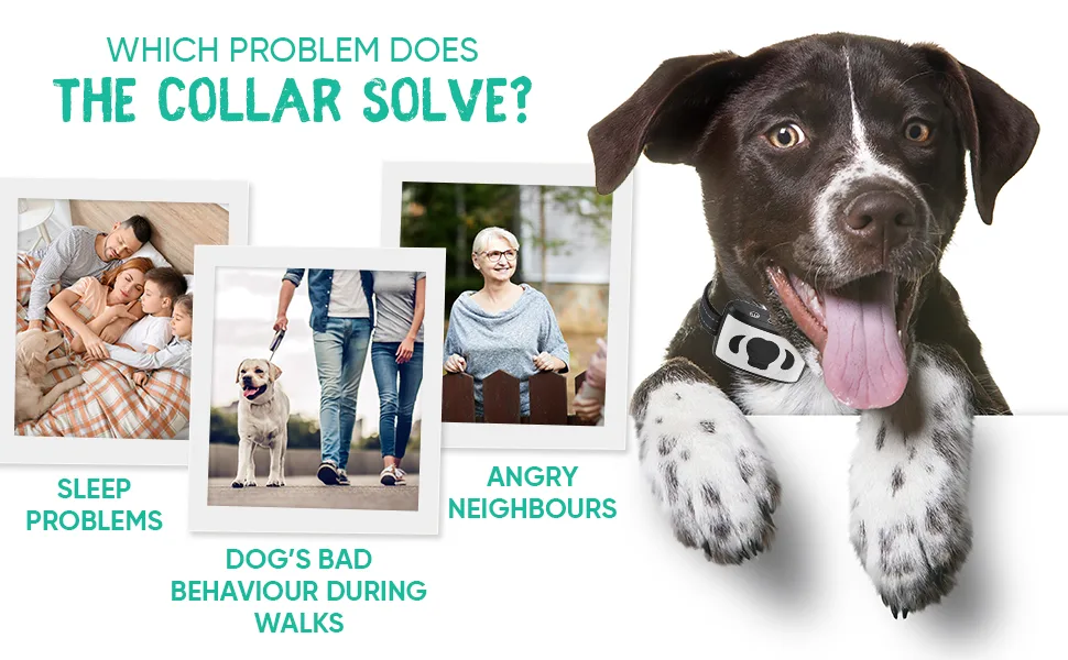 Anti Bark Collar for Dogs - Dog Training Collar - Anti Bark Device for Small Medium & Large Dogs - No Shock & False Trigger - 8 Vibration & 7 Sensitivity Levels - Rechargeable & Waterproof - Anti Bark Collar