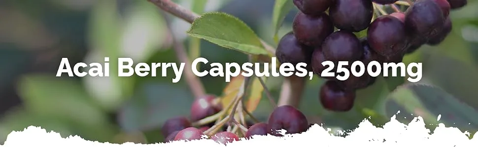 Acai Berry Capsules | 120 High Strength 2500mg Capsules | Vegan & Vegetarian Friendly | Manufactured in The UK - E8761