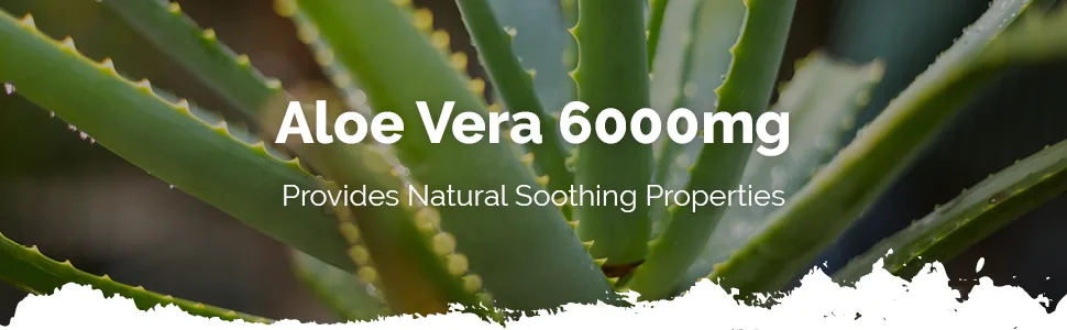 Aloe Vera Tablets 6000mg | Vegan & Vegetarian Friendly | 360 Tablets | Manufactured in The UK - E1931