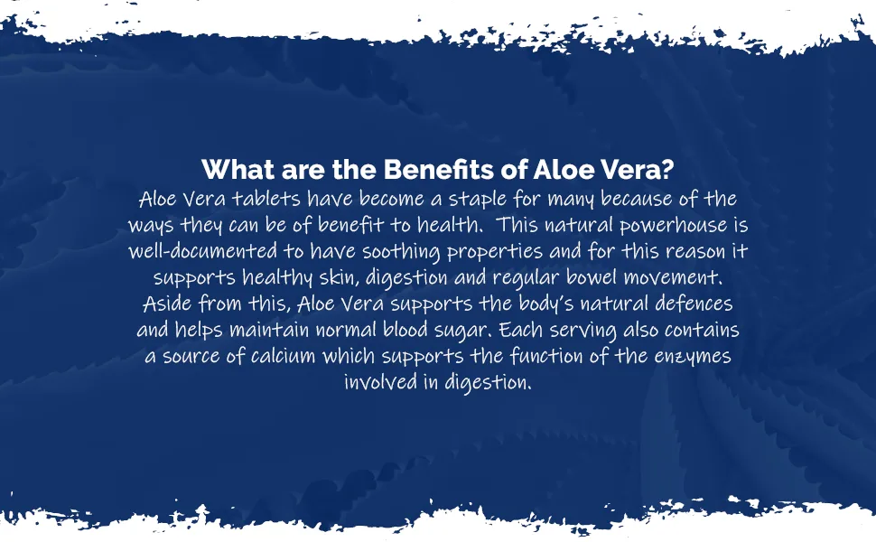 Aloe Vera Tablets 6000mg | Vegan & Vegetarian Friendly | 360 Tablets | Manufactured in The UK - E1933